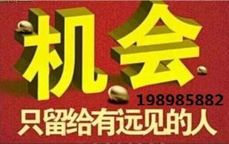 代理中的戰斗機 hz代理小顏，助您領航商海新高度